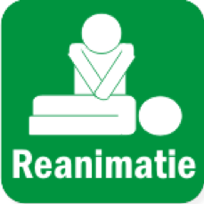 Reanimatie